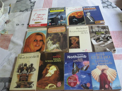 Lot livres de poche - lot,