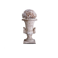 Antique Amphore Baroque