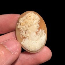 Ancien Camée Coquillage
