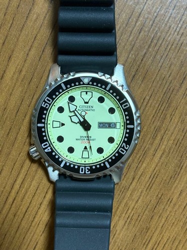 Citizen promaster ny0040 - promaster, ny0040-09w