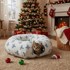 Lit Tunnel pour Chat