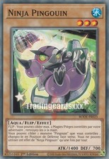 Yu-Gi-Oh! Ninja Pingouin : C BODE-FR025