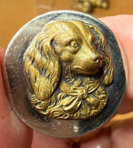 Bouton collection mode chien - bouton,