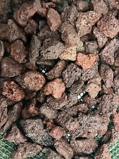 10 pierre volcanique 1/3 cm lave pouzzolane decors aquascaping nano aquarium