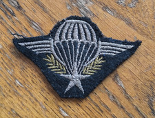 Insigne Ecusson Patch Brevet