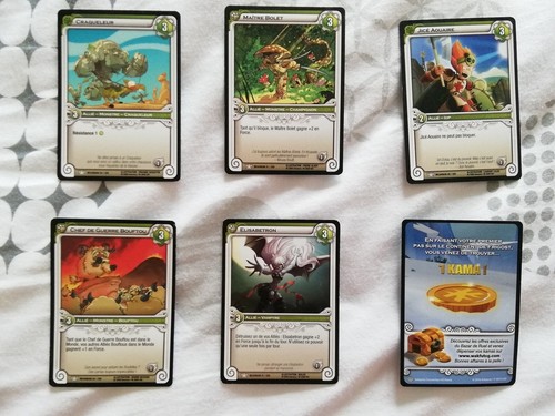 Lot cartes wakfu - cartes,