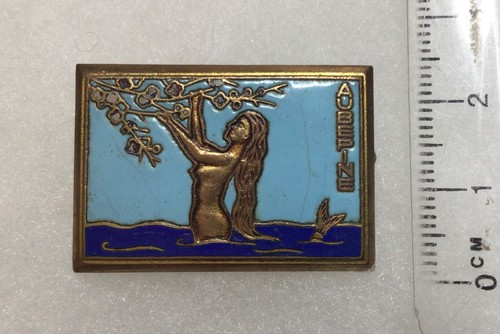 France marine insigne - france,