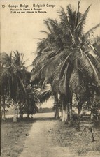 PC BELGIAN CONGO, VUE SUR LE FLEUVE Á BANANA, Vintage Postcard (b33298)