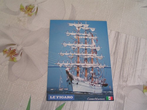 Voilier trois mât barque - barque,