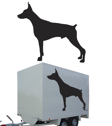 Doberman autocollant en - autocollant,