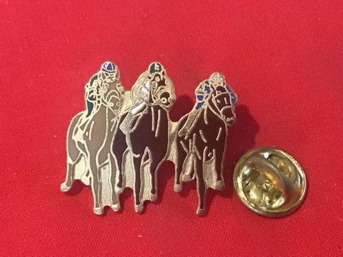 Pins chevaux hippisme - pins,