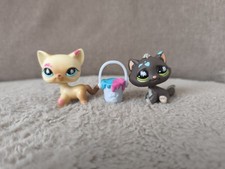 LPS#815 #816 LITTLEST PETSHOP AUTHENTIC CHAT EUROPEEN EUROPEAN Avec Accessoires 