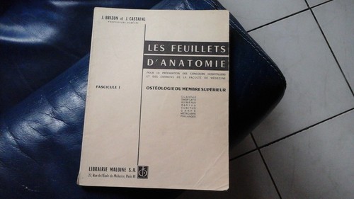 Brizon castaing feuillets - brizon,