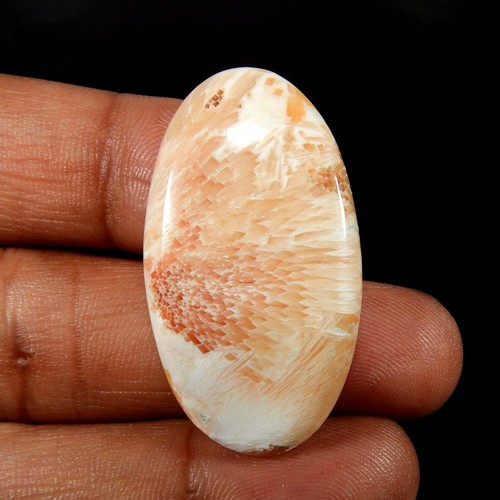 Cabochon rose naturel forme