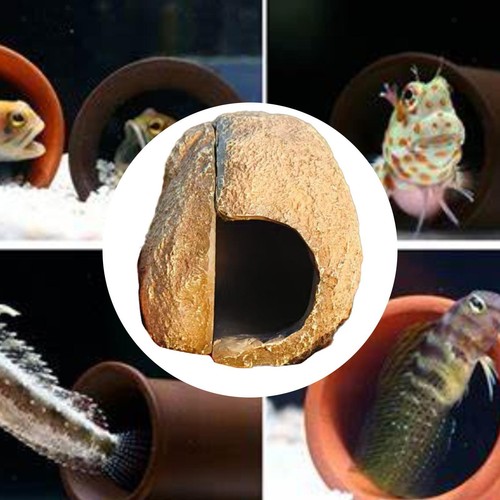 Aquarium caché grotte maison