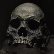 skull ring silver  medium size