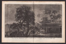 VUE DE L'ILE D'HUAHINE ou DE