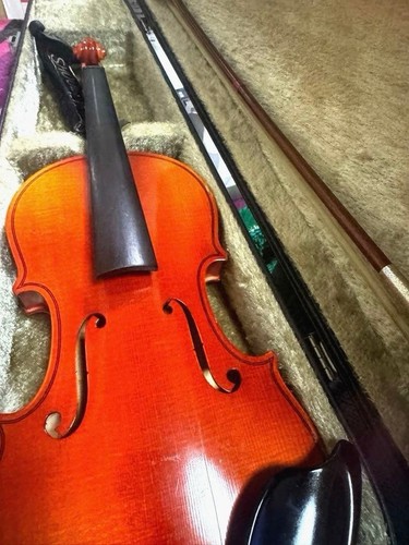 Suzuki violin 220 - violin,