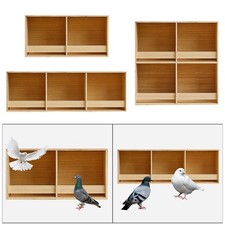 Nichoir à perruches en bois