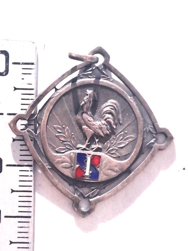 017879 médaille coq - 017879,