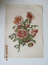 Chromo Litho ancienne Le Journal de la Décoration