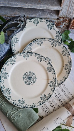 Anciennes assiettes plates - anciennes,