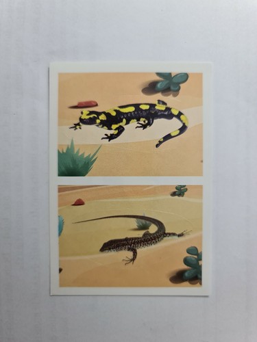 Image sticker autocollant