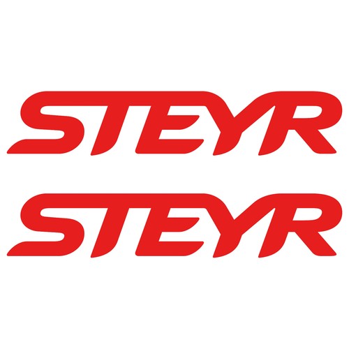 Steyr 50cm 9 - 2,