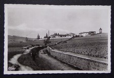 M302) CPSM environs MACON coteau du Moulin à Vent grands vins renommés - 1951