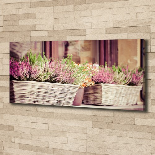 Tulup image sur toile - image, tableau