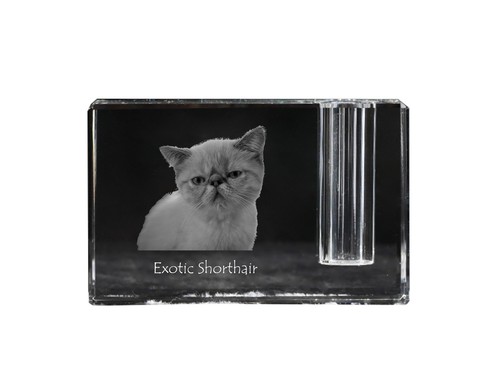 Exotique court porte stylo - court, porte-stylo