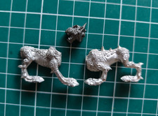 Warhammer Old world : Chien du