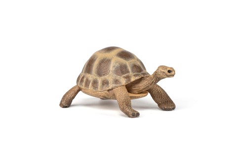 Figurine tortue hermann - figurine,