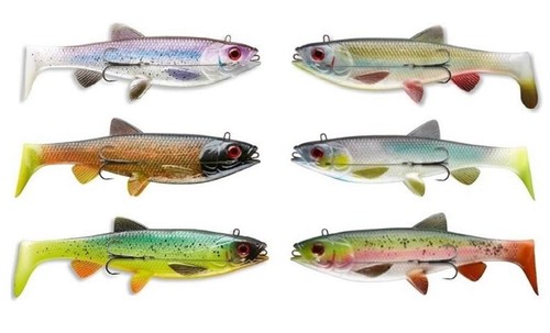 Cormoran plowman shad - plowman,