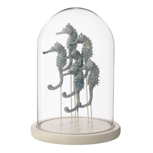 Cloche déco verre - cloche,