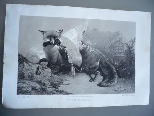 Original engraving hunting - original,