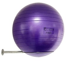 Stainless Steel Gym Ball Wall