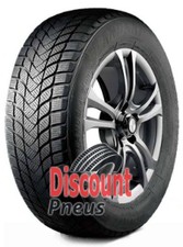 Landsail Winter Lander 205/60