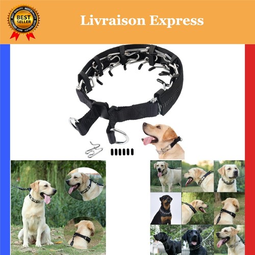 Collier dressage griffes - à,
