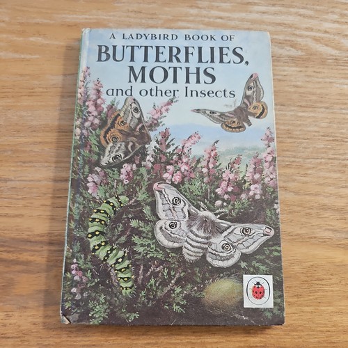 Butterflies moths and - moths,