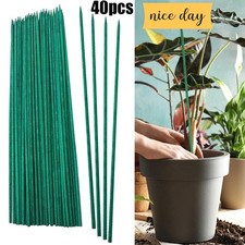 40 PCS Piquets en Bois de