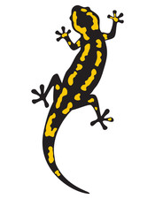 Feu salamandre autocollant
