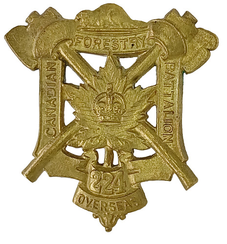 British army cap badge - army,