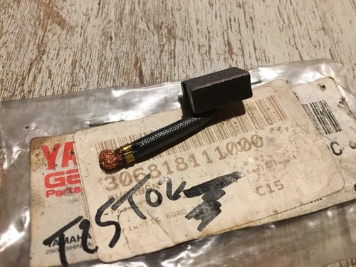 Yamaha 306818111000 charbon