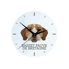 Basset Fauve de Bretagne