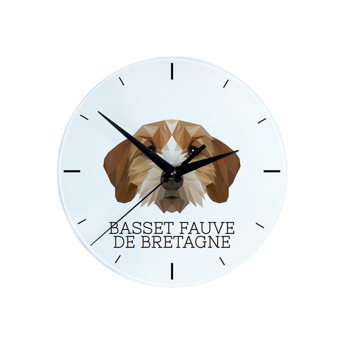 Basset fauve bretagne - basset,