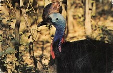 VILLARS-les-DOMES  - Parc