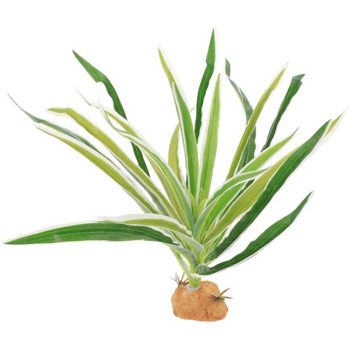 Terrarium accessoires plantes - terrarium,