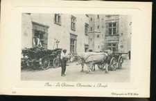 PAU LE CHATEAU CHARETTE A BOEUFS EN RELIEF