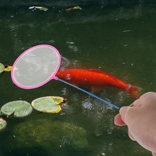  30 Pcs Épuisette Pour